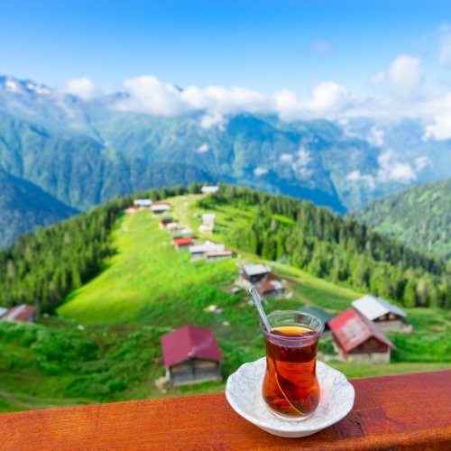 Karadeniz Turları